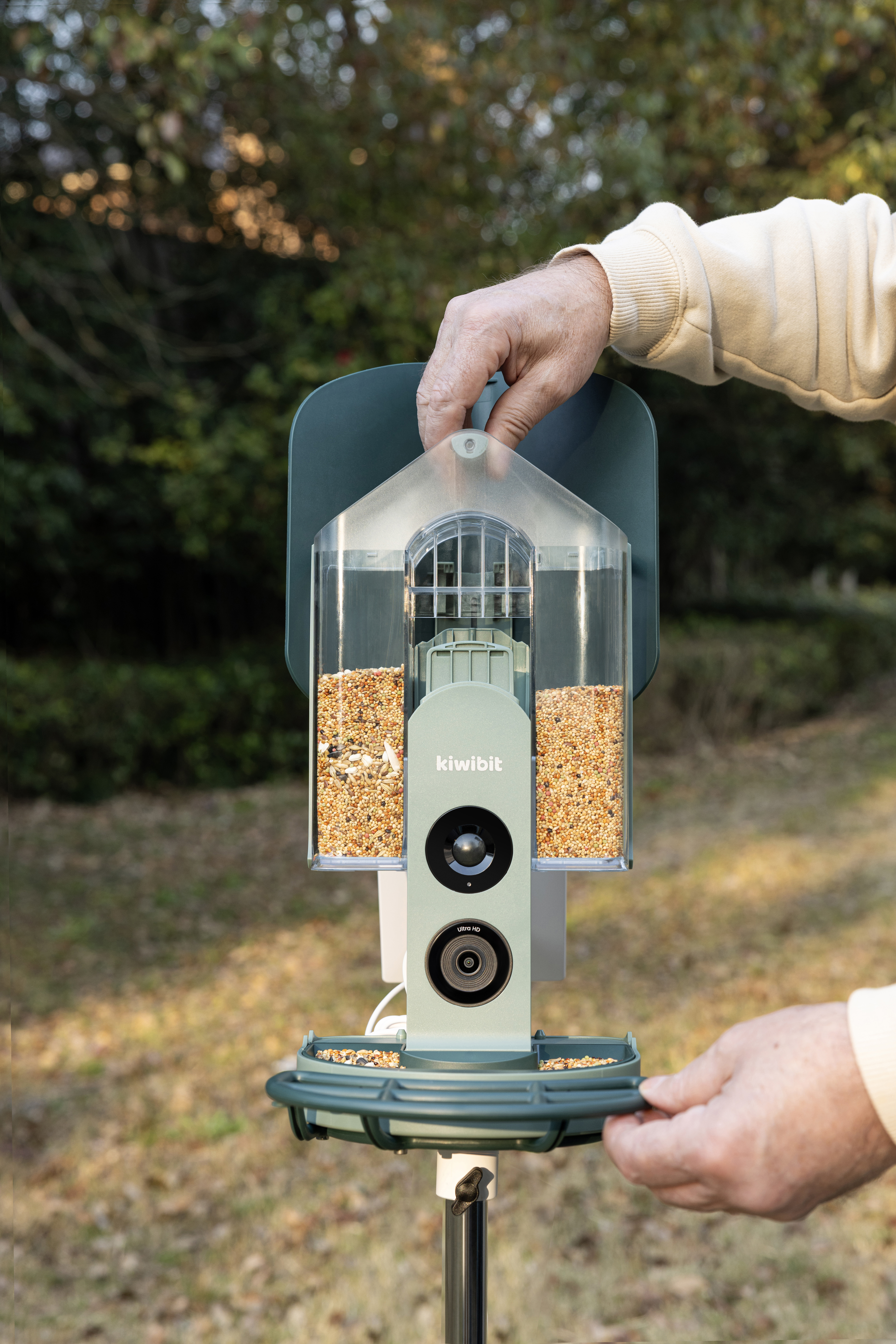 Kiwibit bird feeder in a backyard context