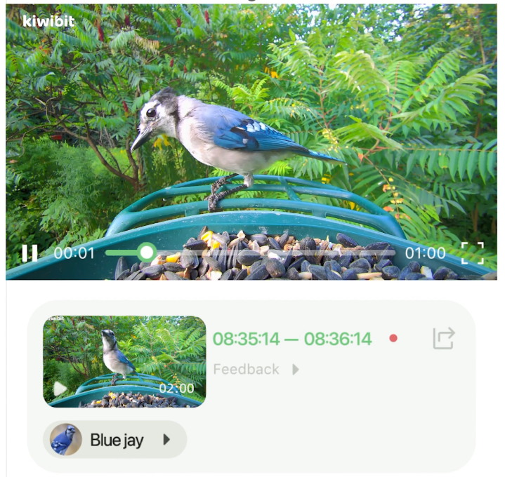 Bird viewing interface