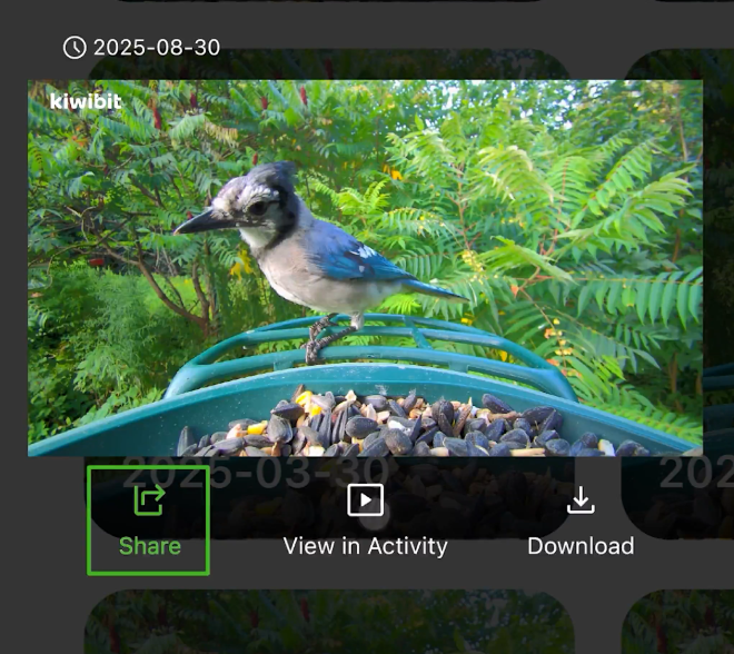 Saved and shared bird moment interface